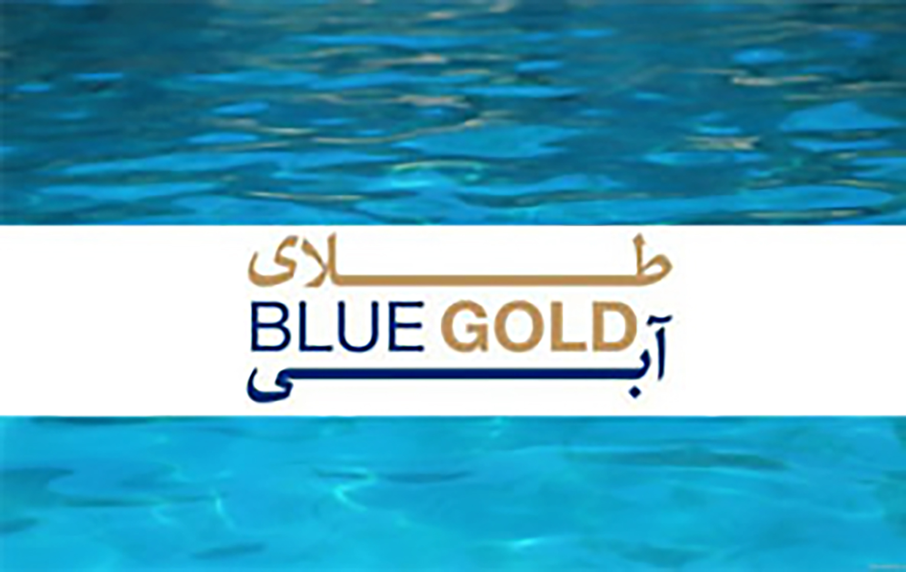 Blue Gold Open Call 2016